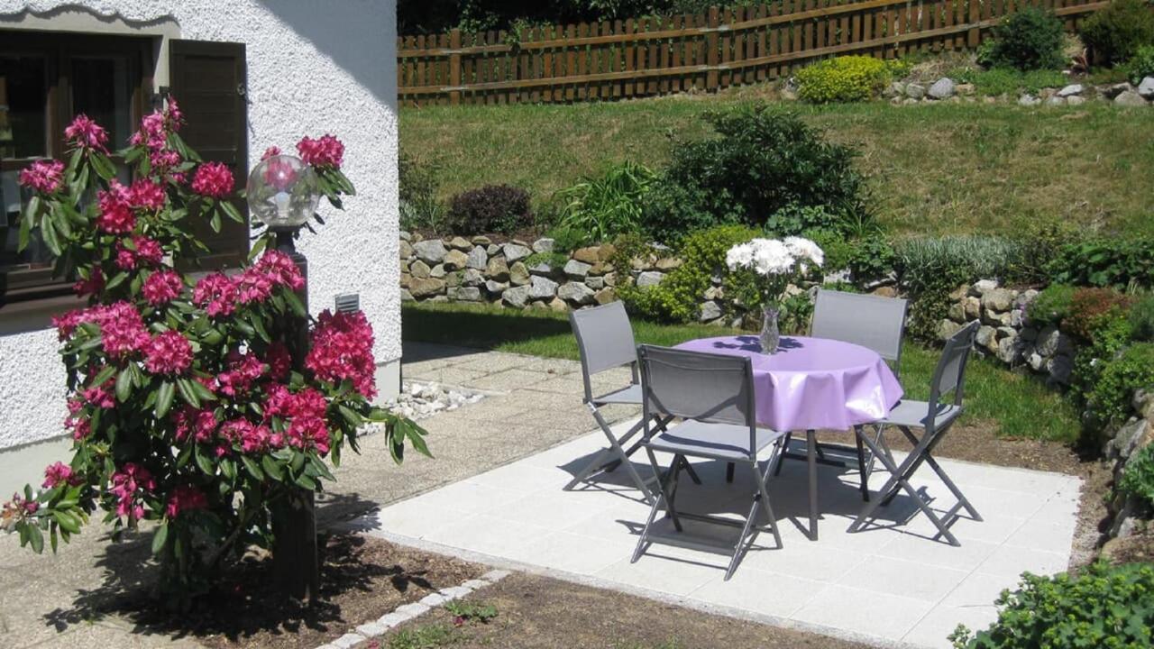 Waldmünchen Ferienwohnung Buecherl מראה חיצוני תמונה